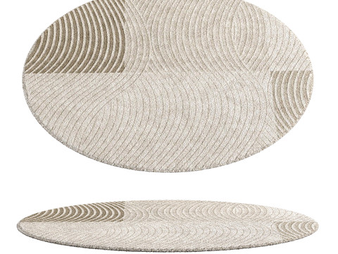 ROUND AREA RUG Model 3D