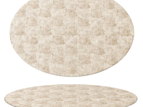 CONTEMPORARY ROUND RUG 04 3D Model