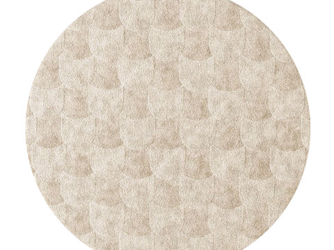 CONTEMPORARY ROUND RUG 04 3D Model