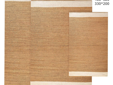 Hand Woven Jute Area Rug under sofa 3D Model