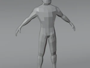 İnsan D&uuml;ş&uuml;k Poli Modeli 3D Model