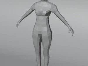 İnsan D&uuml;ş&uuml;k Poli Modeli 3D Model
