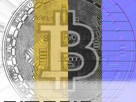 Bitcoin Coin High Resolution Digital Asset 3D Model