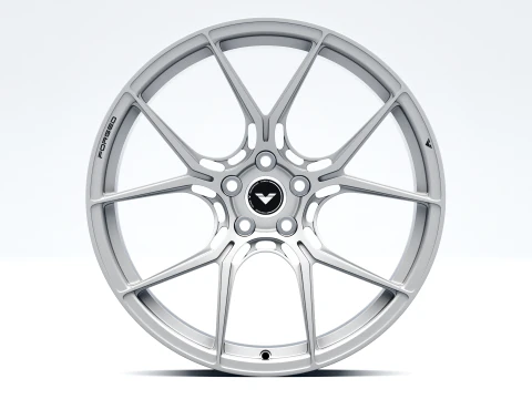 VORSTEINER VSF 001 3D Model