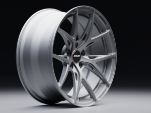 RAYS Versus VV21S Model 3D