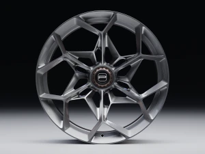 PUR RS43 3D Model