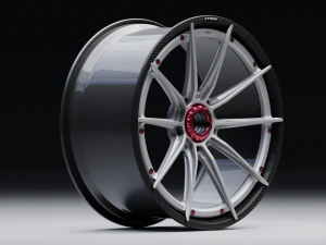 AL13 CF R10 3D Model