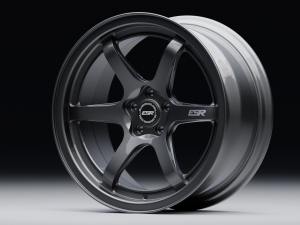 ESR AP6 3D Model