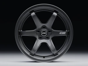 ESR AP6 3D Model