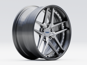TSW Premio 3D Model