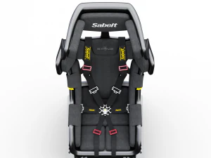 사벨트 스파인 시트 3D 모델