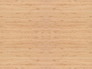 TEXTURAS DE MADERA ALTA CALIDAD HDRI CG Dokuları