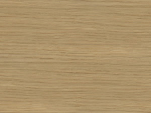 TEXTURAS DE MADERA ALTA CALIDAD HDRI CG टेक्स्चर्स