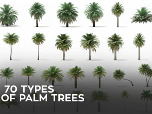 More than 70 types of palm trees 3D Model