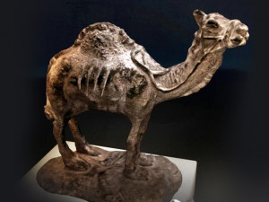 Arabic Props collection 3D 모델
