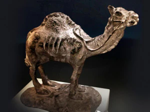 アラビアの小道具コレクション 3Dモデル