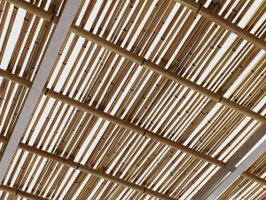 Ceiling from bamboo branches 3D Model