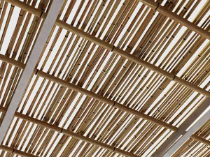 Ceiling from bamboo branches 3D Model