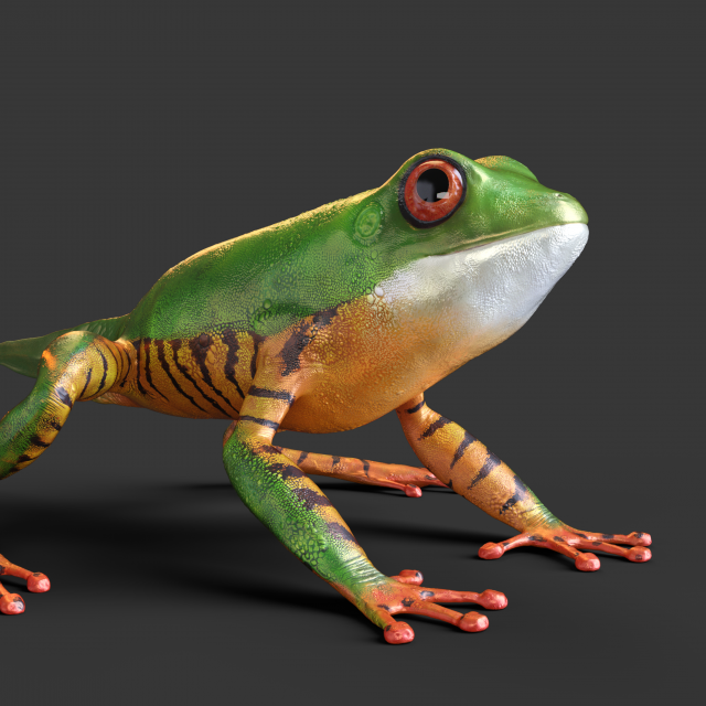High-quality frog model rigging 3D मॉडल .c4d .max .obj .3ds .fbx .stl .blend 