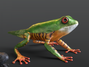 High-quality frog model rigging 3D मॉडल