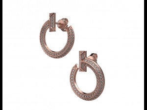 Earrings 001 3Dプリントモデル