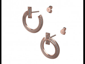 Earrings 001 3Dプリントモデル
