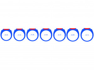 Signet ring set 3D 打印模型