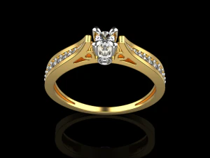 Ring 051023 3D Print Model