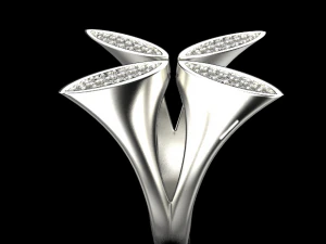 Talant ring 3D Print Model