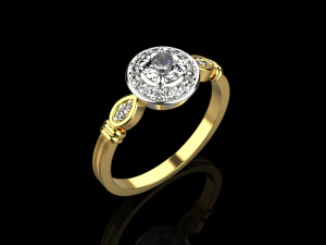 Rings set 1003 3D Print Model