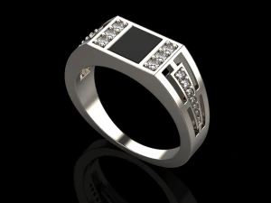 Ring 0455 3D Print Model
