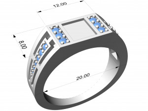 Ring 0455 Modèles 3D en vedette