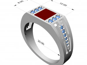 Ring 0455 3D Print Model