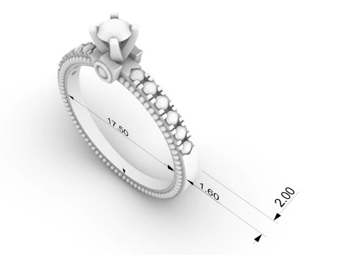 Engagement ring 091224 3D Print Model