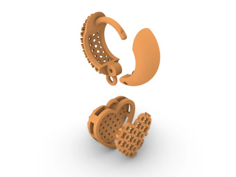 Hearth earrings with diamonds 3D Print Model