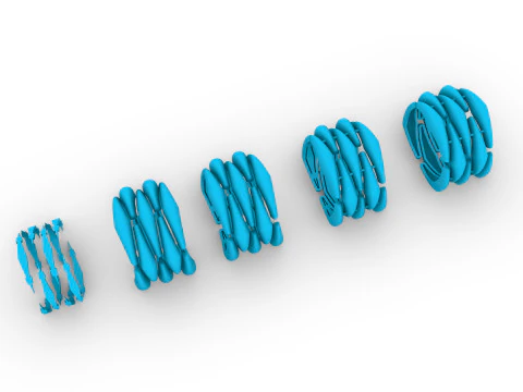 维米尼戒指 3D 打印模型