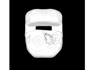 THE SPARTANS SMART DEVICE HOLDER 3D 打印模型
