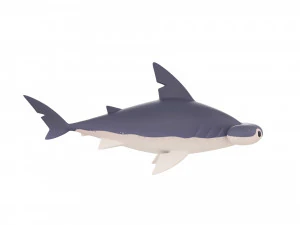 Character072 Bonnet Head Shark 3D Model
