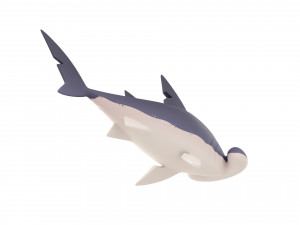 Character072 Bonnet Head Shark 3D Модель