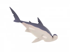 Character072 Bonnet Head Shark 3D Model