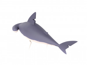 Character072 Bonnet Head Shark 3D Модель