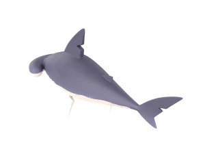 Character072 Bonnet Head Shark 3D Model