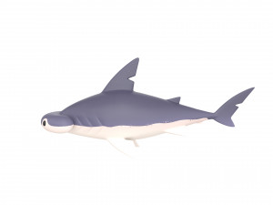 Character072 Bonnet Head Shark 3D Модель