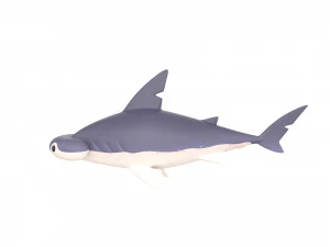 Character072 Bonnet Head Shark 3D Model
