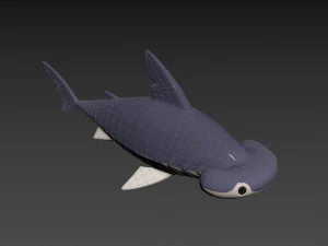 Character072 Bonnet Head Shark 3D Model