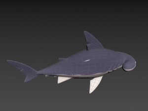 Character072 Bonnet Head Shark 3D Модель