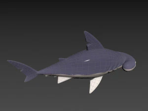 Character072 Bonnet Head Shark 3D Model