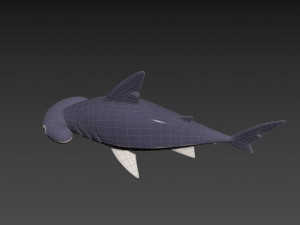 Character072 Bonnet Head Shark 3D Модель