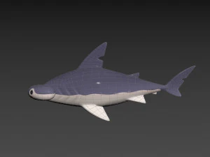 Character072 Bonnet Head Shark 3D Model