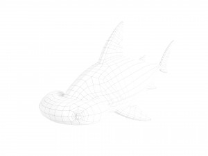 Character072 Bonnet Head Shark 3D Модель